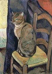 Estudo de um gato, 1918